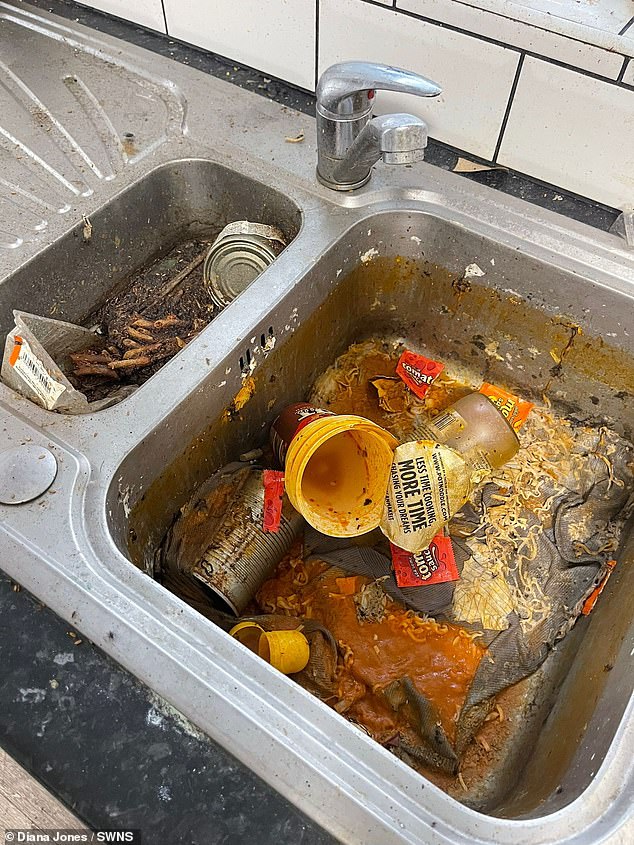 This sink was full of rotten food and rusty cans, as well as other dirty food containers before Diana cleaned it.