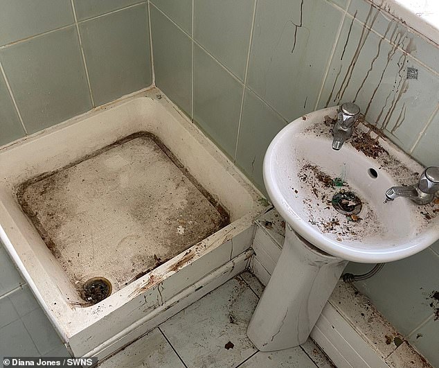 This bathroom is full of brown stains and dirt, which is not very attractive to those who need to wash themselves.