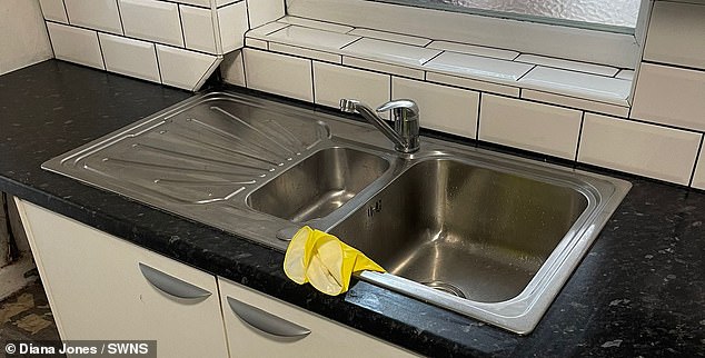 After a good wash, the sink looks totally different and is now clean enough to use once again.