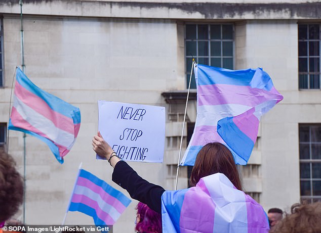 The current generation of dating apps, she says, are increasingly being used by men who identify as women and who say they are also lesbians. In the photo: a demonstration for the rights of trans people.