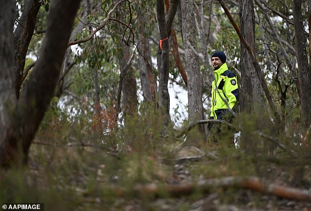 Police entered thick brush in April in an area about 25 kilometers from where Samantha Murphy disappeared.