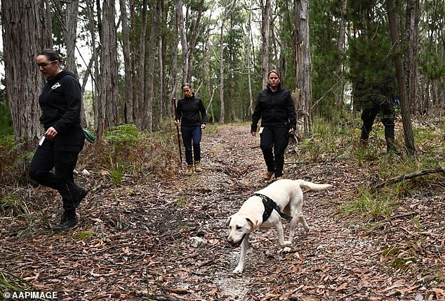 Specialized dogs capable of finding corpses have been brought in to assist in the search.