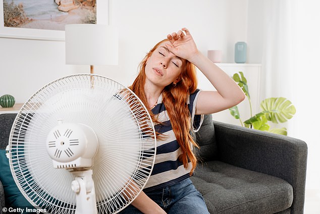 Experts recommend turning your ceiling fan blades counterclockwise and making sure to replace your air conditioner's filter.