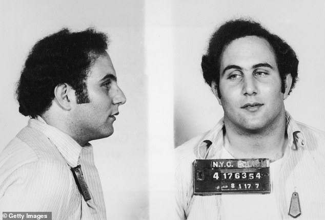 Police mugshot showing the front view and profile of convicted New York City serial killer David Berkowitz, known as the 'Son of Sam.'