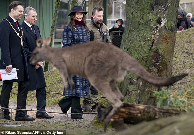 Copenhagen Zoo is among groups not receiving crown support - Queen Mary appears here after an Australian-themed garden is named after her