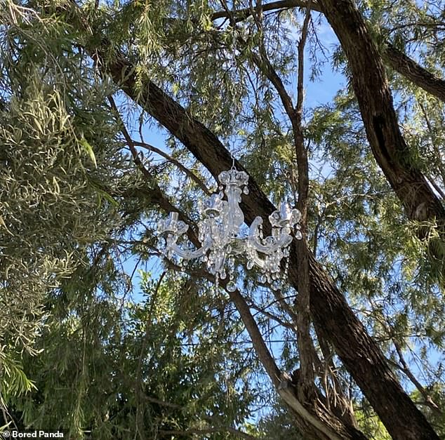 A tree is an unconventional place for a chandelier, but perhaps it serves dual purpose as wind chimes.