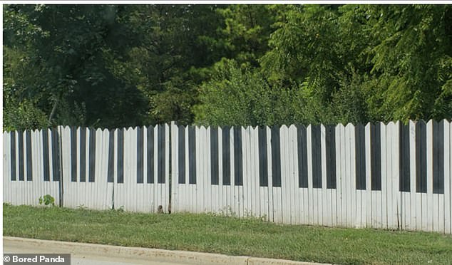 One way to express your artistic side is to paint your fence with custom colors. An appropriate look for what can only be assumed to be a family of pianists.