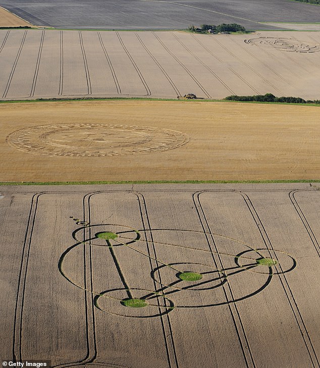 Lord Rees says it is unlikely that aliens would travel to Earth just to make a crop circle and visit 