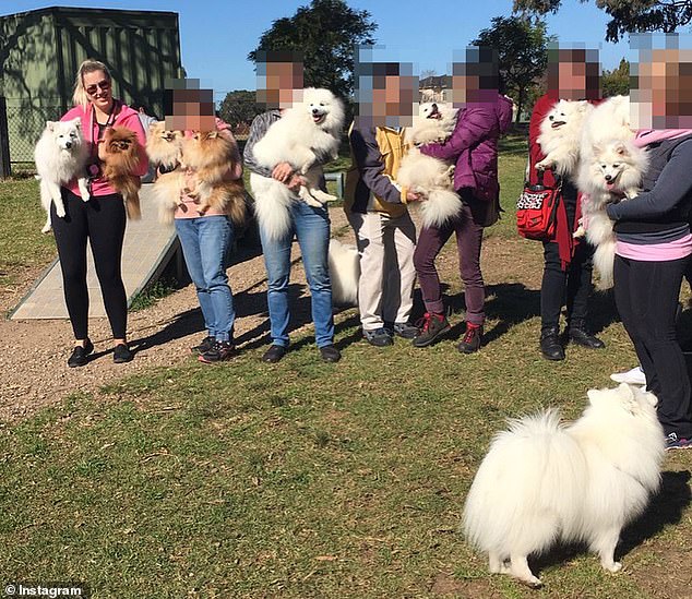 The 29-year-old is a dog trainer for the wealthy in Sydney's plush eastern suburbs.