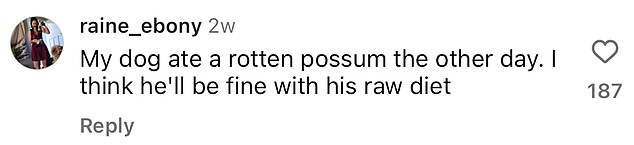 1717447859 251 Top Vet Reveals Foods Youd Never Feed Your Dog