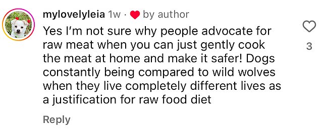 1717447859 299 Top Vet Reveals Foods Youd Never Feed Your Dog