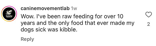 1717447860 167 Top Vet Reveals Foods Youd Never Feed Your Dog