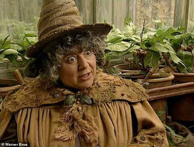 The actress, who played Professor Sprout in the acclaimed film series, admitted: 