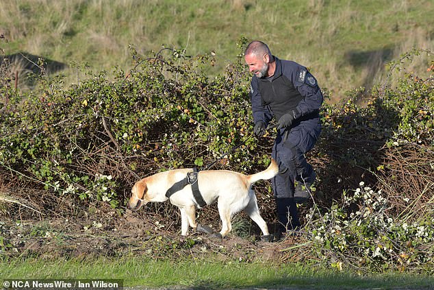 Victoria Police search teams are seen using sniffer dogs during a targeted search on May 29.