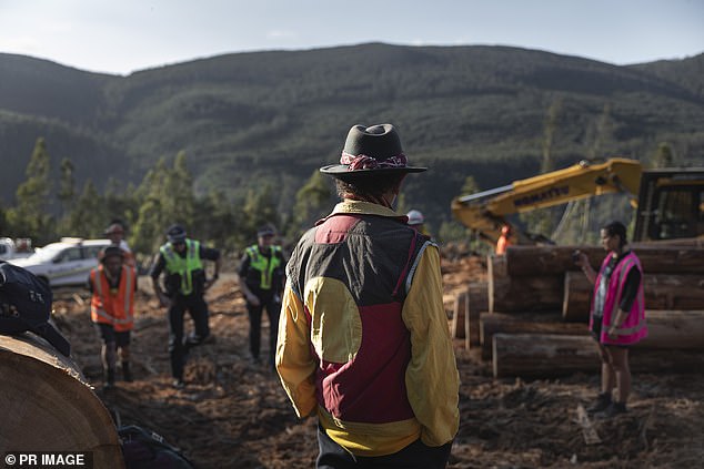 As part of his bail conditions, Everett-puralia meenamatta has been banned from Forestry Tasmania's permanent timber production lands, which make up more than 800,000 hectares of public forest in the state.