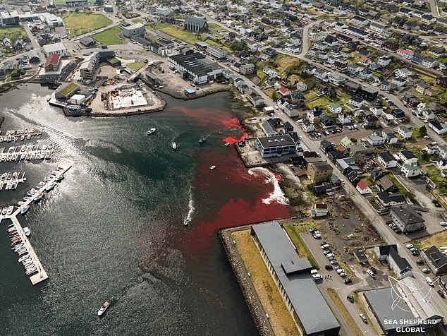 An aerial view shows blood spilling into the sea, turning the port red, last month.