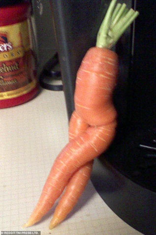 Another carrot appeared to be shaped like a body while leaning against a kitchen appliance.