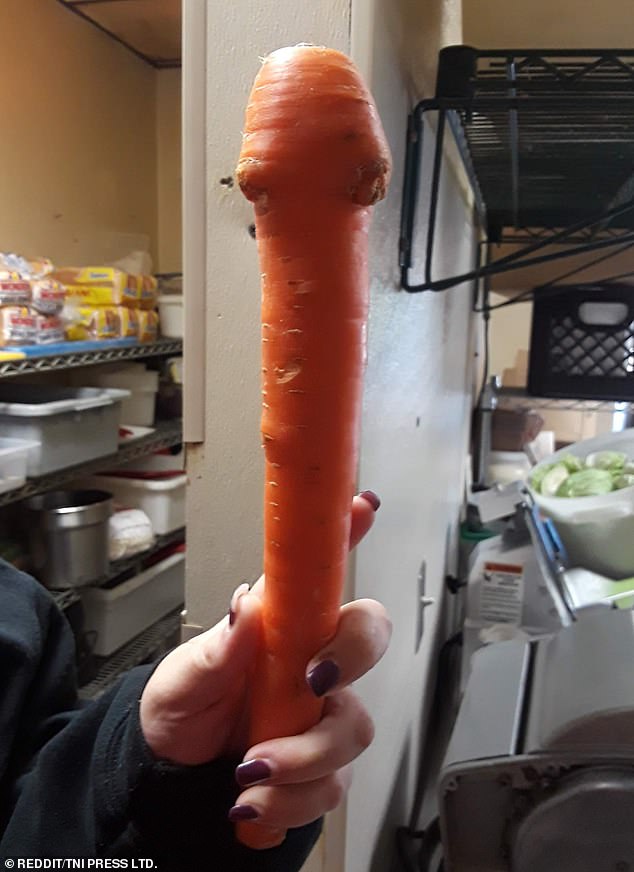 This person was apparently eager to show off her sexy carrot as she held it up to the camera in this image.