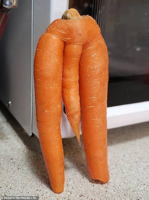 This carrot certainly provided endless entertainment to the person who discovered it.