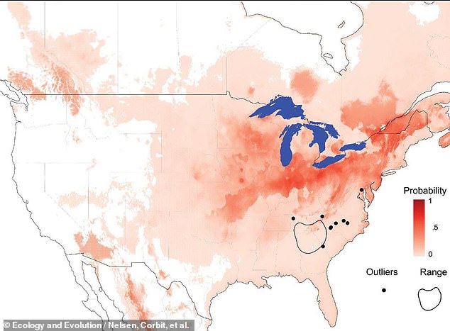 The maps show where they have a body that is about four inches long and legs that measure between six and eight inches. The short answer is all over the United States.