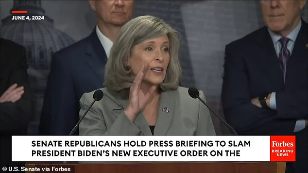 Ernst criticized Biden's executive action as an election-year ploy