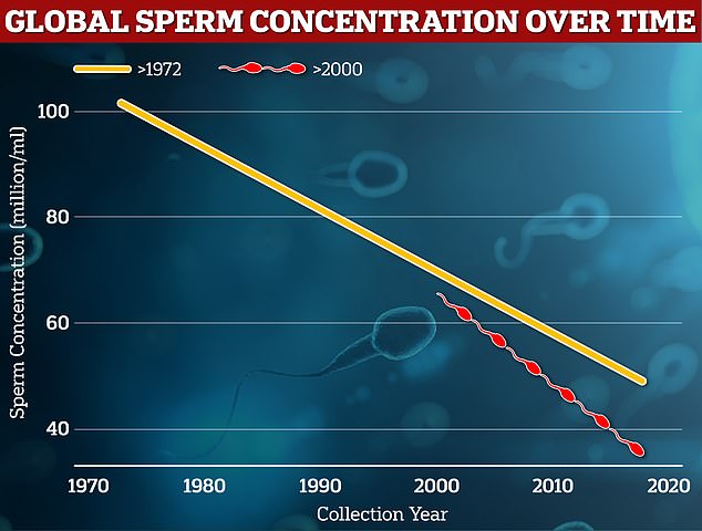 Research has previously suggested that sperm count in men is declining. Pictured is a 2022 global study published in the journal Human Reproduction Update. The graph shows: The sperm concentration rate is decreasing globally from samples collected between 1972 and 2000 (orange) and since 2000 (red).