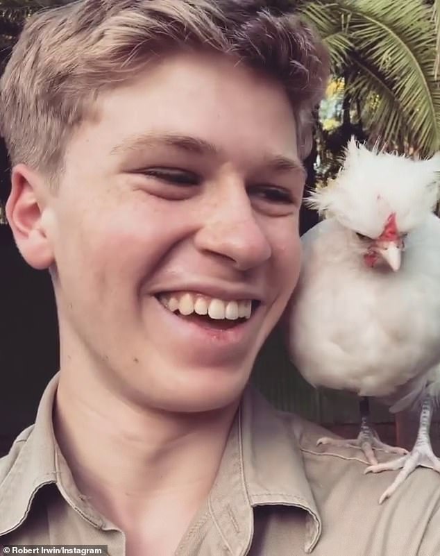 The wildlife warrior, 20, stars in a new advert asking snack fans to vote for their favorite Twisties flavour: chicken or cheese.