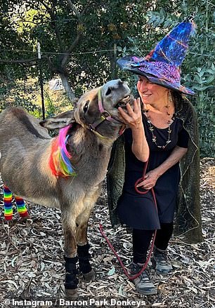 Perry, whose full name is Pericles, came to the pasture in 1997 as a companion to another donkey.