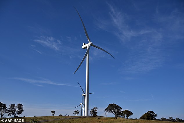 Social media users criticized Mr Albanese for his post, with many claiming that Labour's wind turbine and solar panel farms are causing the same damage to the landscape (pictured, wind turbines south of Goulburn in Southern Tablelands of New South Wales).