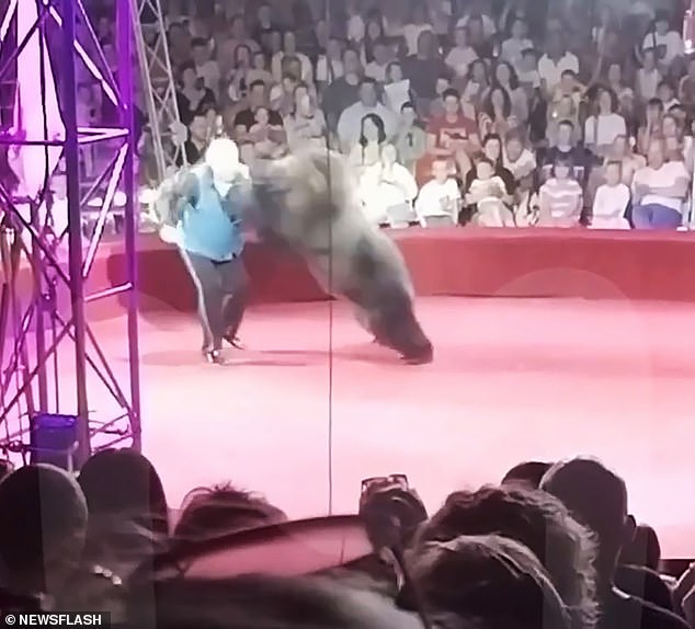 After dragging her across the circus floor on his skates, Krasov walked away before the bear launched its revenge attack.