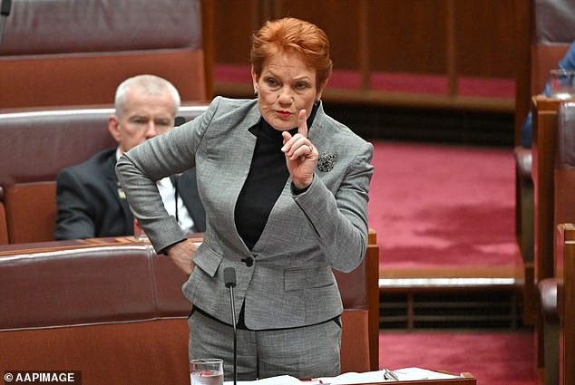 Senator Pauline Hanson (pictured) has previously argued that two-thirds of Australia could potentially be controlled by less than two per cent of the population under native title legislation.