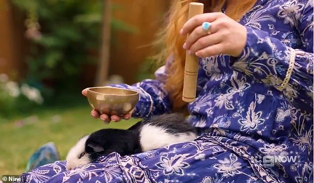 In an intro video, Madeleine told how she is an account manager and reiki healer before a segment showed her performing reiki on a guinea pig.