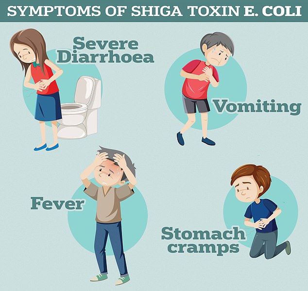 Symptoms of the Shiga toxin produced by E. coli include severe diarrhea and vomiting, according to the UK Health Safety Agency.