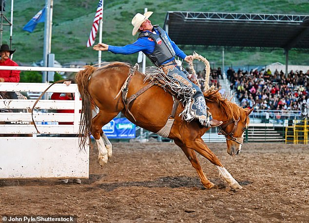 Spencer Wright's family (pictured) is among the most prominent in rodeo history and is ranked 35th in the world.