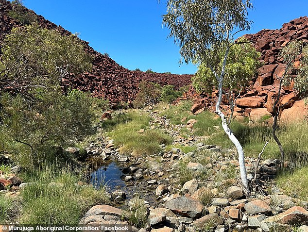 Murujuga (pictured) in the Pilbara, WA, is home to more than 1 million rock art petroglyphs across 37 hectares, with giant miners such as Woodside and Rio Tinto operating in the same area, sometimes just meters from the artworks .