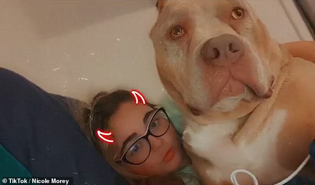 XL Bully's owner, Nicole Morey, was killed by her dog when she had just returned from a night out.