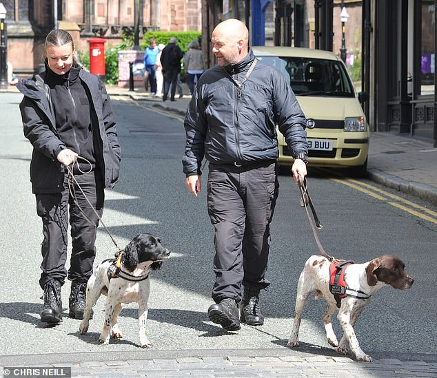 A large security cordon will be erected around the cathedral due to the presence of so many high-profile guests. Pictured: Sniffer dogs in Chester