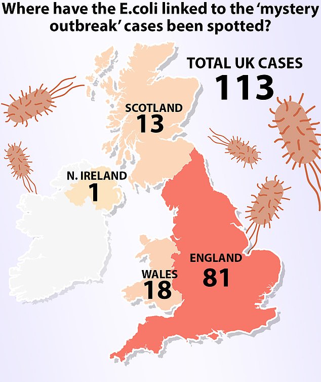 Health officials said a total of 113 cases were recorded between May 25 and June 4. Of these, 81 were in England, 18 in Wales and 13 in Scotland.