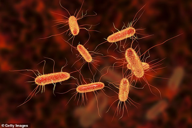 Authorities have not yet traced the origin of the outbreak of Shiga toxin-producing E. coli (STEC), a rare strain of the virus that causes diarrhea. But they believe it is related to a 