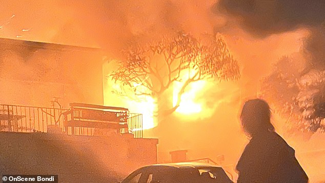 Emergency services responded to a house fire in Bondi, eastern Sydney, in November 2022, when the property and an adjoining house suffered significant damage (pictured).