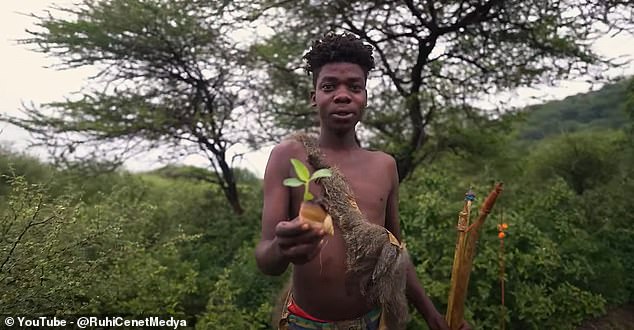 During his hunt, a man also found a giant snail, but Ruhi says that the young ones don't like the taste and offer it to the elders.