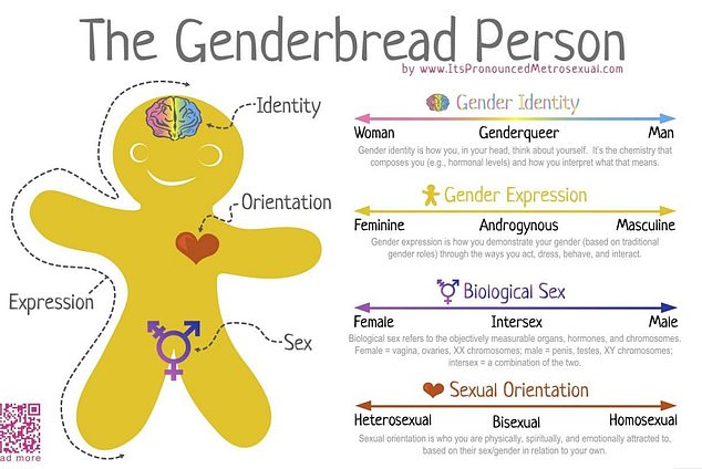 'Gender Bread Person' teaches young people about intersex people and 'genderqueers'