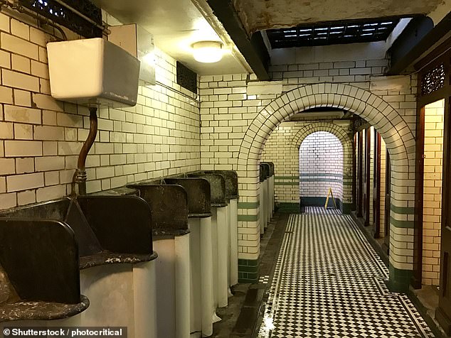 Cara and Jeremy were impressed by the standard of public toilets in the UK. Above: Victorian public toilets on Hampstead Heath, London