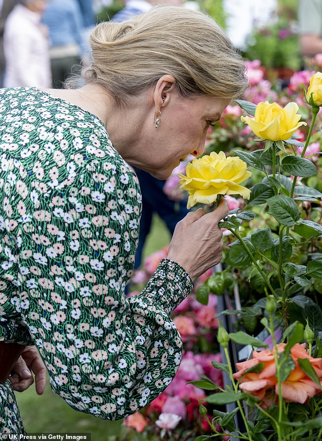 The royal was photographed smelling one of the flowers, a yellow rose, while enjoying the floral show.