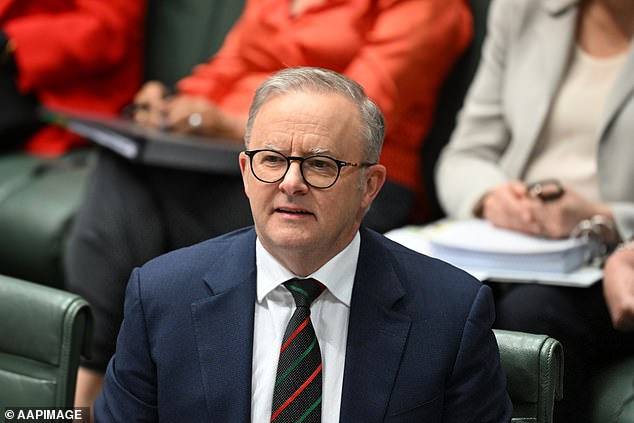 Prime Minister Anthony Albanese (pictured) said Dutton 