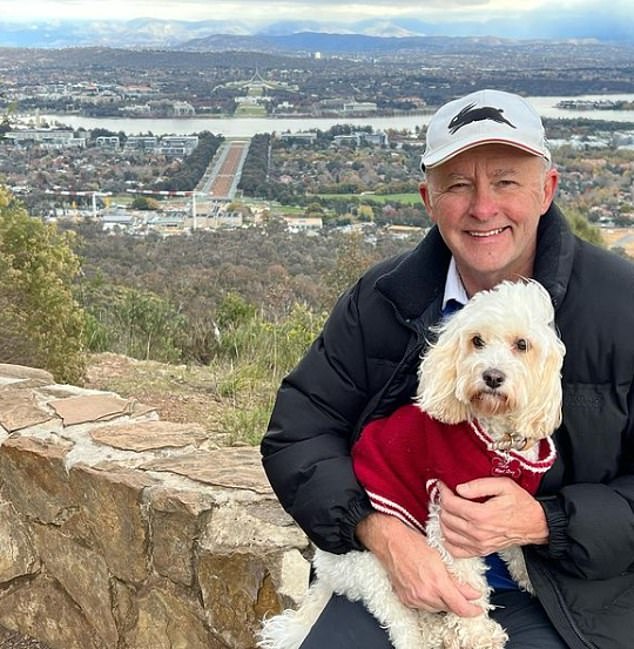 Toto often appears in photographs with the Prime Minister and became a celebrity in his own right during the intense campaign period leading up to the 2022 election.