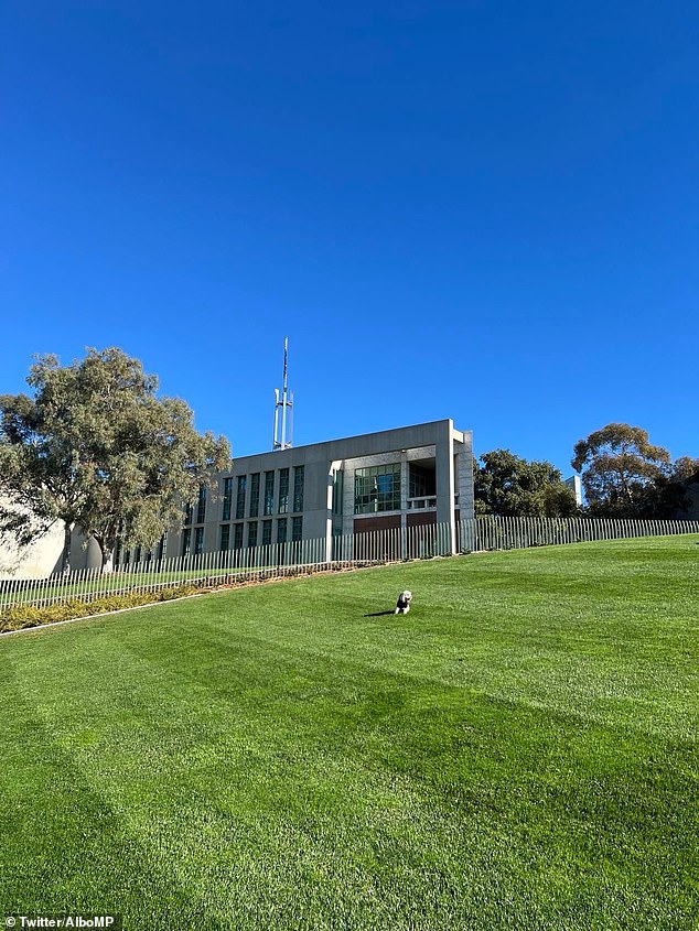 Albanese, shielding his eyes from the bright winter sun behind a pair of sunglasses and a cap from his beloved South Sydney Rabbitohs, captioned the X post: 