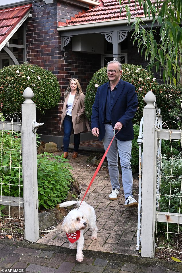 The dog divides her time between her owner's residences at Kirribilli House in Sydney and The Lodge in Canberra when Parliament meets (pictured: Toto, Albanese and her partner Jodie Haydon).