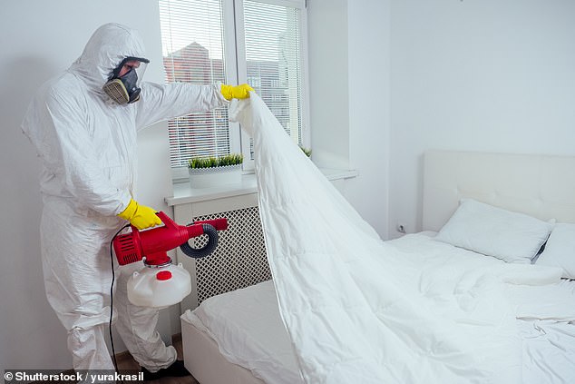 However, his journey in pest control has not always been easy as he was forced to close his first business after a divorce and financial problems (file image)