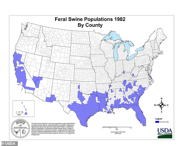 In 1982, feral swine populations were located primarily in Florida, Texas, and parts of California.